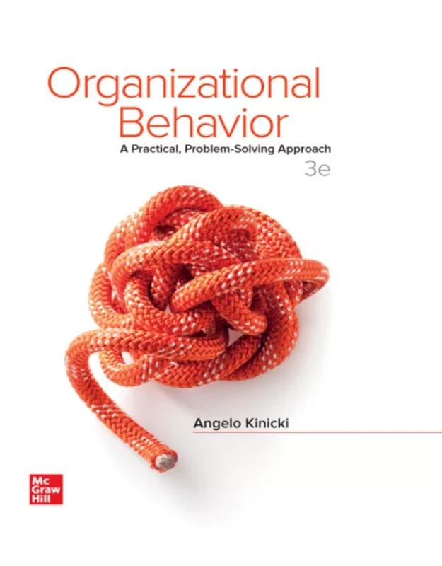 Organizational Behavior: A Practical, Problem-Solving Approach (3rd Edition) – PDF