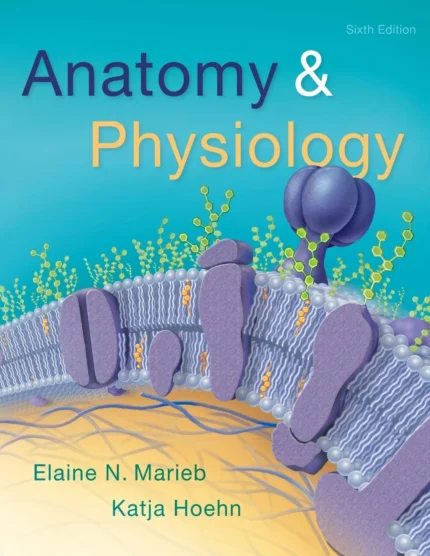 Anatomy and Physiology (6th Edition) – PDF