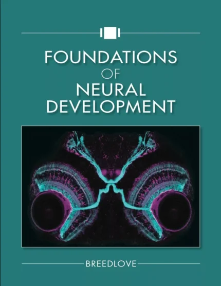 Foundations of Neural Development – Breedlove – PDF