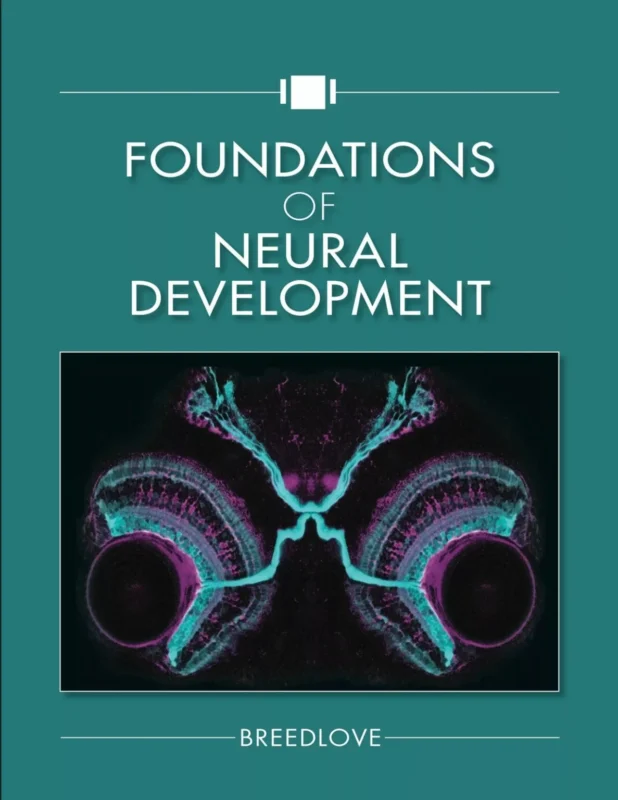 Foundations of Neural Development – Breedlove – PDF